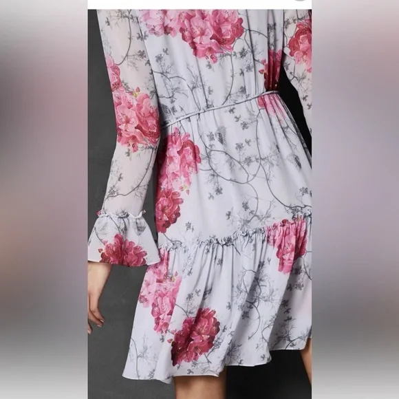 🎉Host Pick🎉 Ted Baker Babylon Ruffle Floral Dress – Size 4, Excellent Condition - Picture 3 of 7